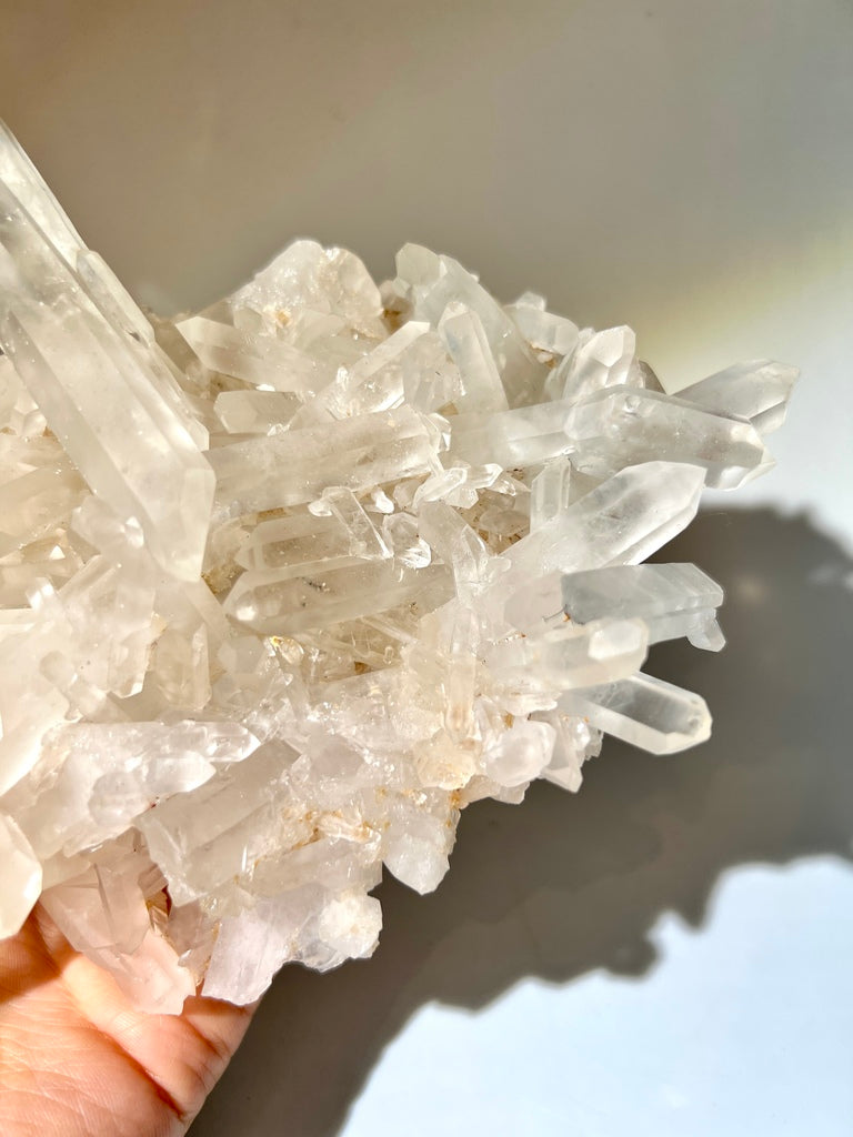白晶簇