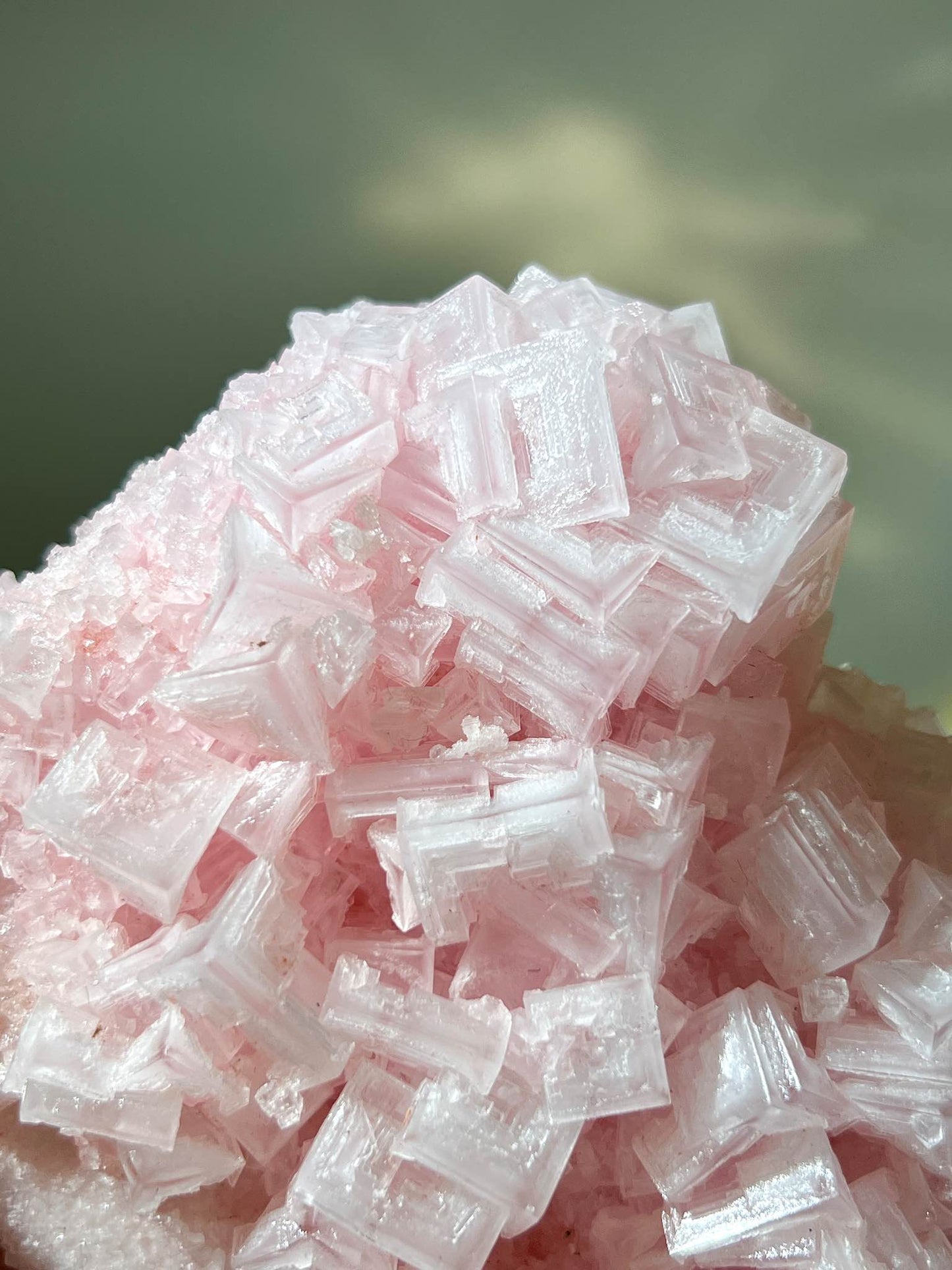 美國加州粉紅鹽晶 粉紅鹽晶 粉紅岩鹽 岩鹽水晶 粉紅鹽晶簇 美國晶簇 美國水晶 粉紅水晶 粉紅晶簇 粉晶簇 粉晶 南無水晶 pink halite pink crystal