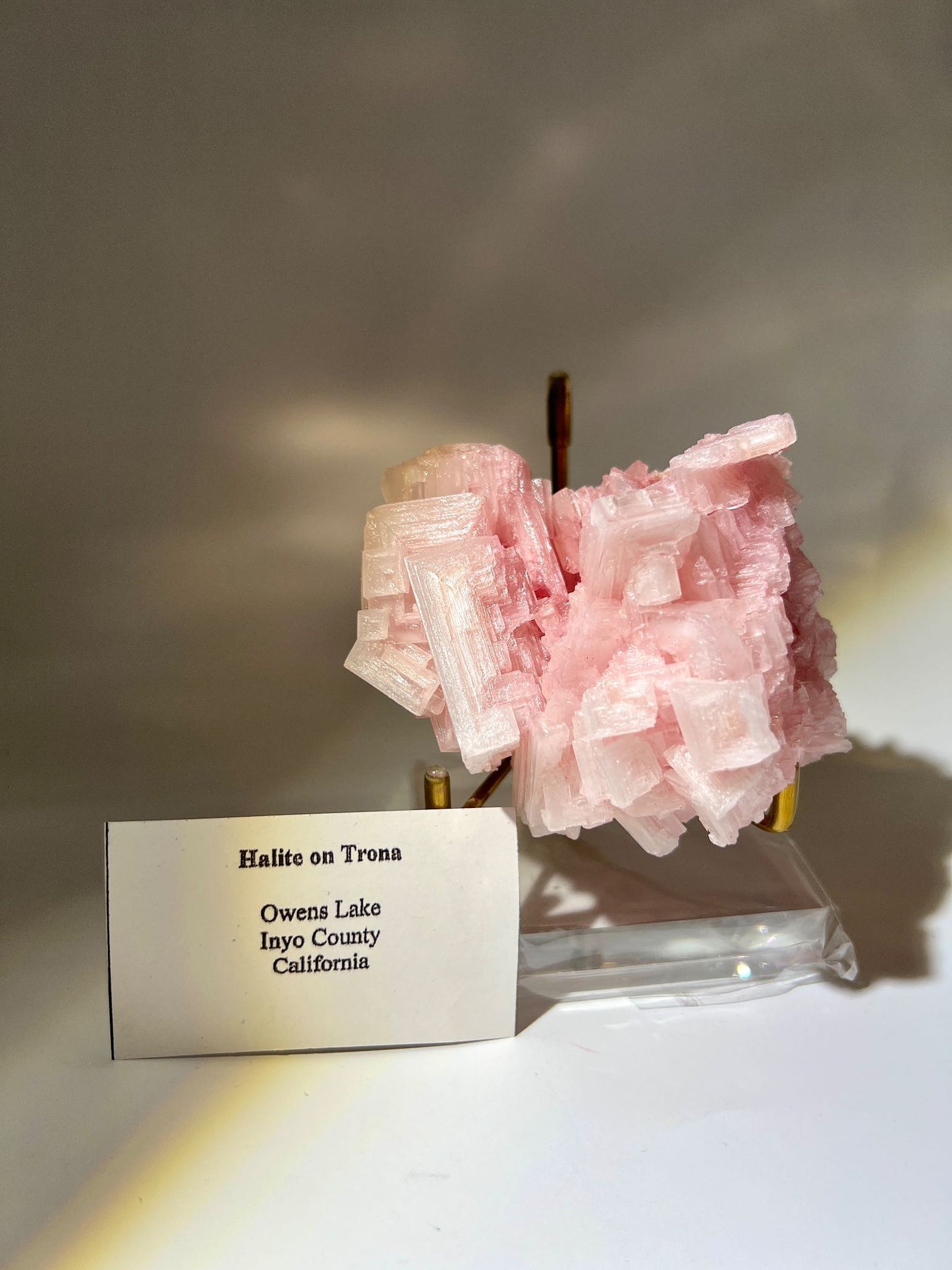 美國加州粉紅鹽晶 粉紅鹽晶 粉紅岩鹽 岩鹽水晶 粉紅鹽晶簇 美國晶簇 美國水晶 粉紅水晶 粉紅晶簇 粉晶簇 粉晶 南無水晶 pink halite pink crystal