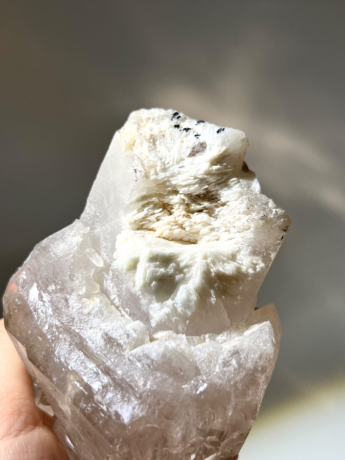 權杖水晶 骨幹權杖 權杖白水晶 scepter quartz scepter crystal 白水晶 晶簇 骨幹水晶 水晶柱 天然水晶 南無水晶