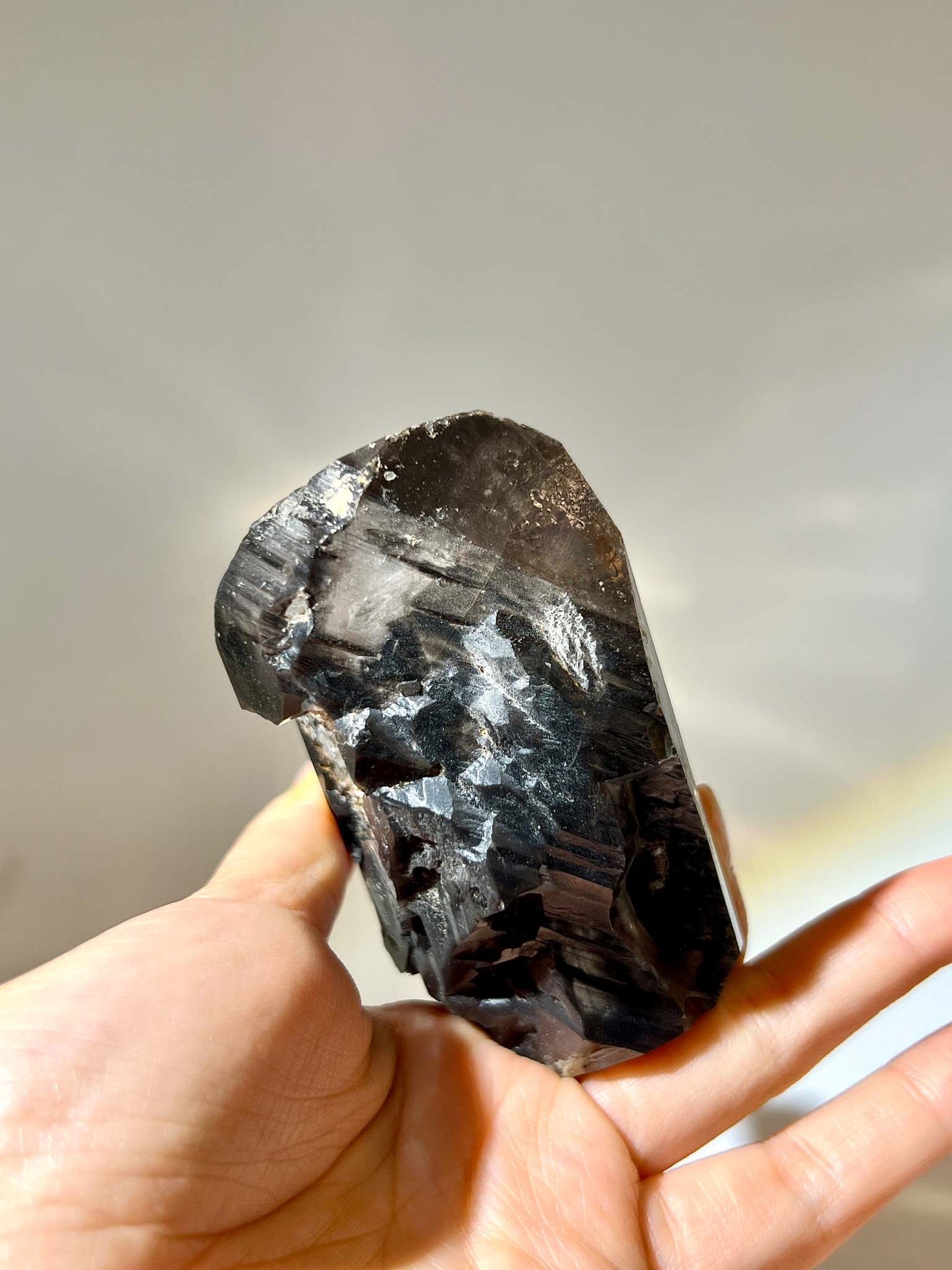 黑閃靈鑽 black herkimer diamond 閃靈鑽 閃靈鑽功效 香港閃靈鑽 閃靈鑽產地 閃靈鑽淨化 閃靈鑽原石 淨化水晶 水晶原石 香港水晶店 香港水晶 淨化能量