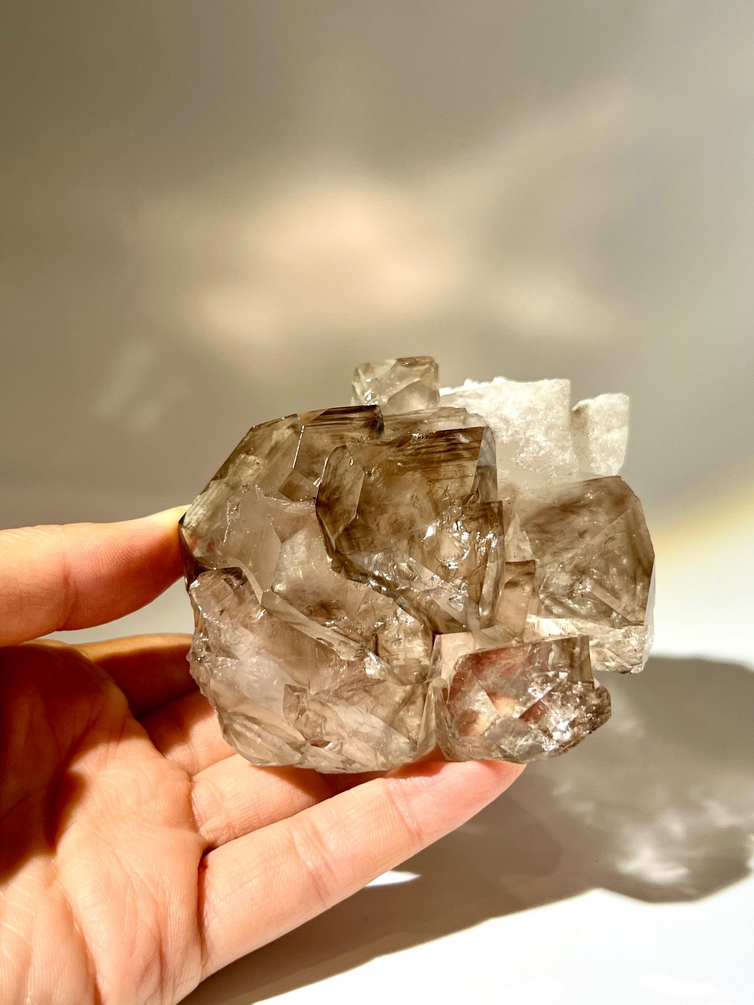 水晶 トライゴーニッククリスタル（蝕像水晶） | 虹石屋