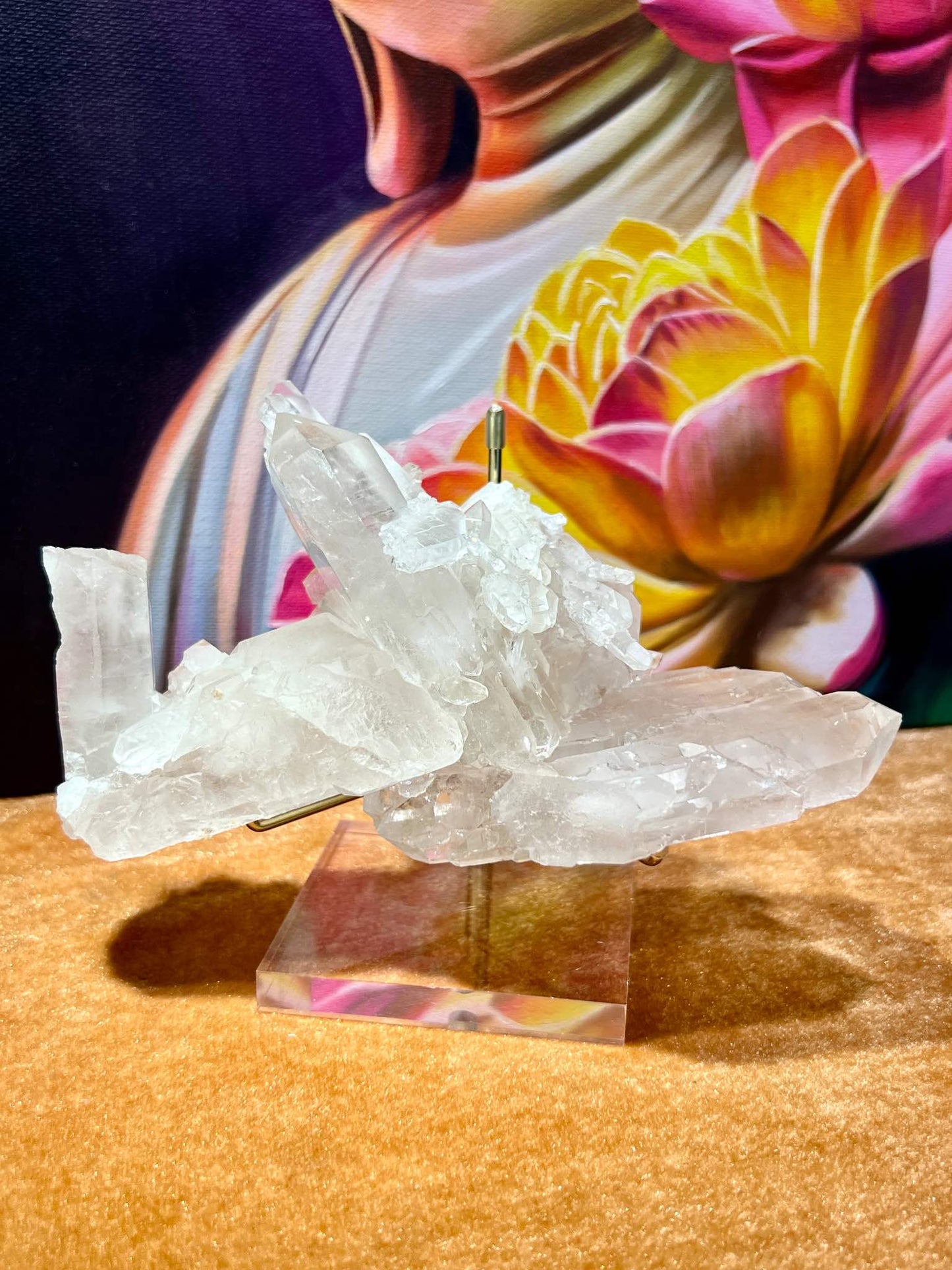 鱷魚水晶 縫合水晶 晶簇 白晶簇 骨幹水晶 骸骨水晶 水晶原石 淨化消磁 淨化水晶 高頻水晶功效 鱷魚水晶功效