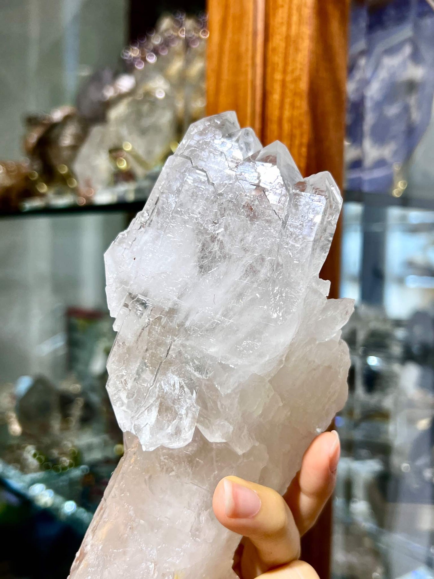 晶簇 水晶簇 白晶簇 鱷魚水晶 縫合水晶 晶簇 白晶簇 骨幹水晶 骸骨水晶 水晶原石 淨化消磁 淨化水晶 高頻水晶功效 鱷魚水晶功效