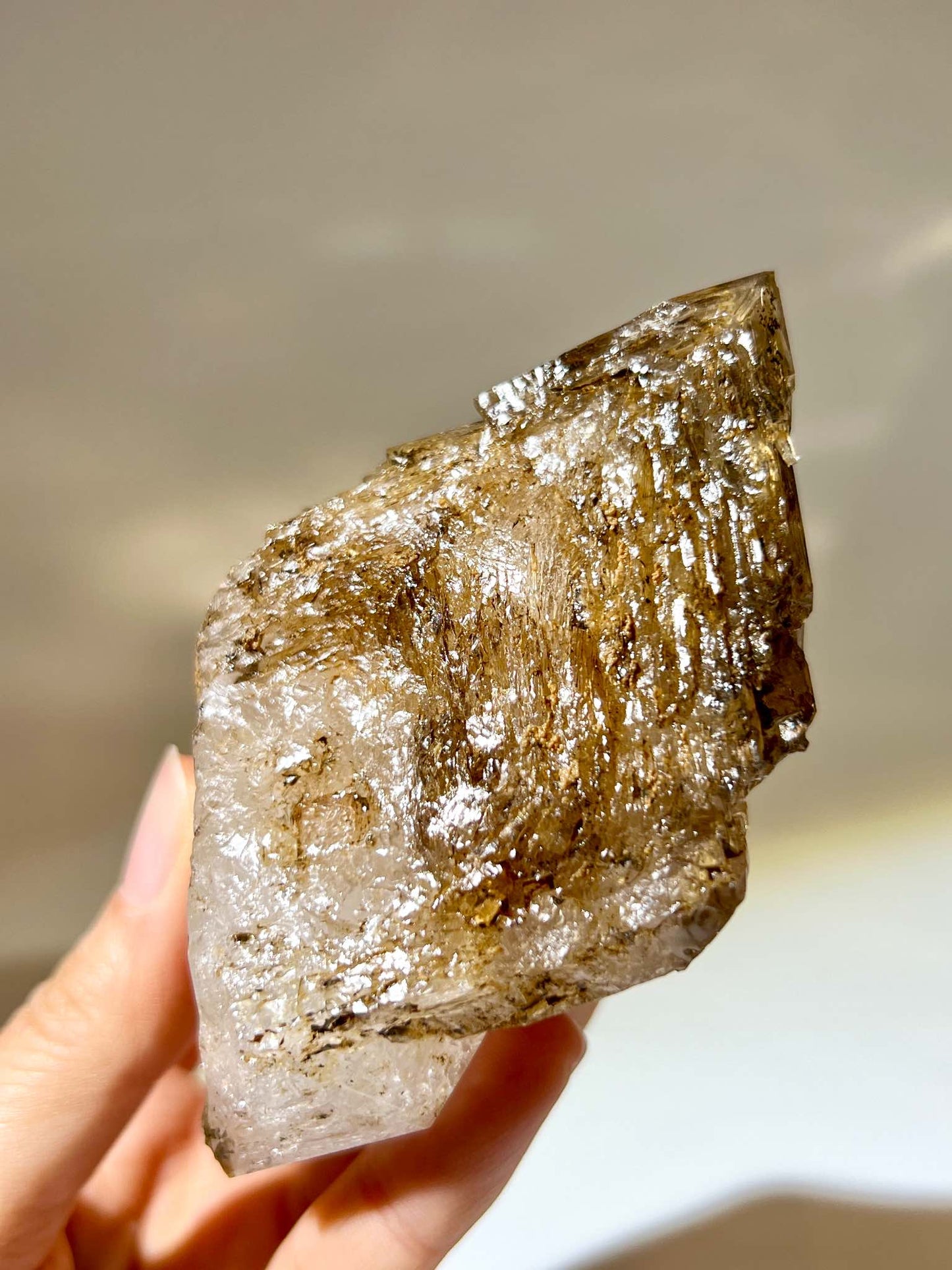閃靈鑽 骸骨閃靈鑽 骸骨水晶 閃靈鑽水晶 香港閃靈鑽 水晶 水晶原石 淨化能量 香港水晶店 能量解鎖