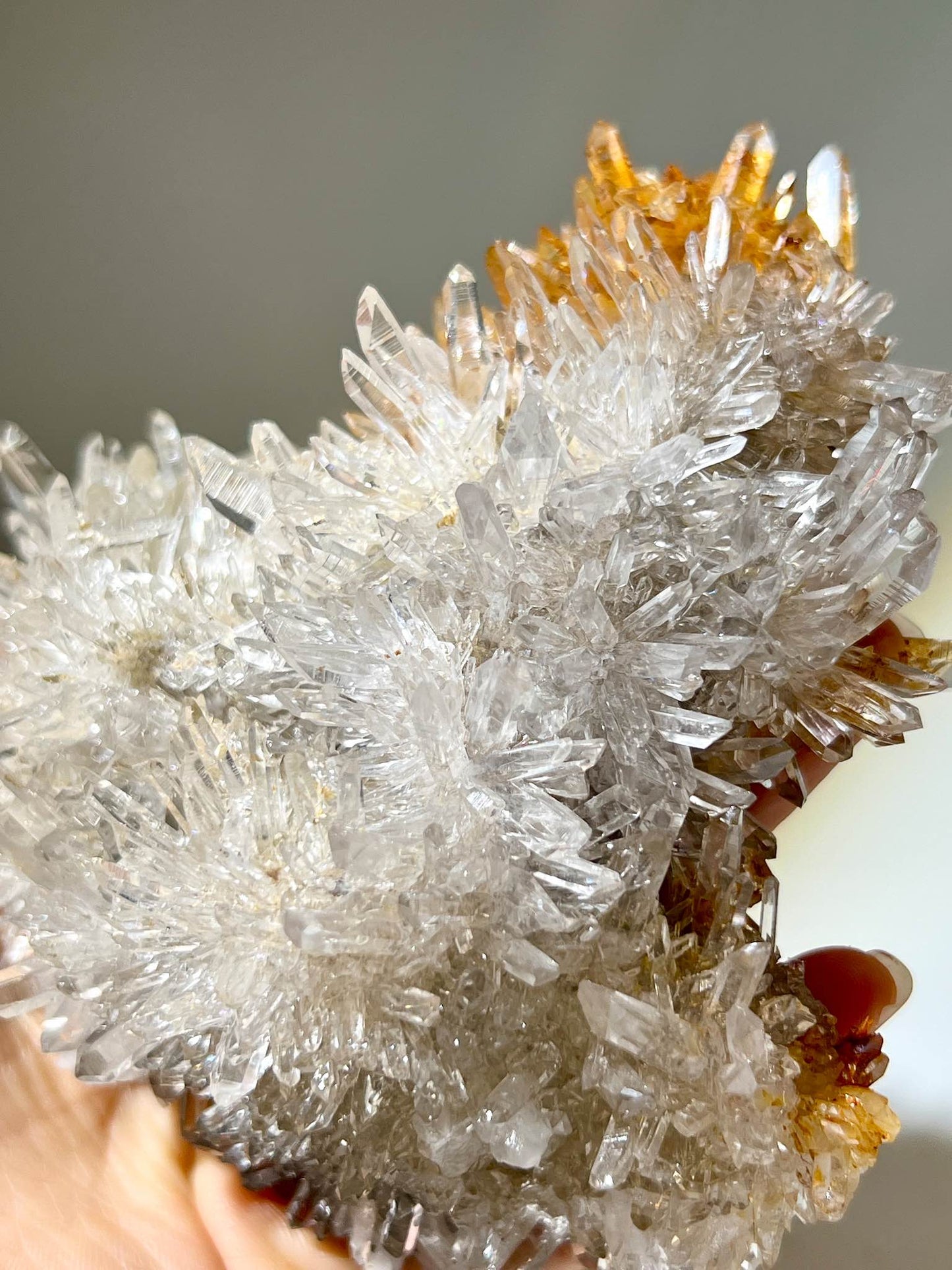 列姆利亞 雷姆利亞 列姆利亞水晶 Lemurian Crystal Cluster 白晶簇 晶簇 白水晶 雷姆水晶 列姆水晶 lemurianquartz 淨化消磁