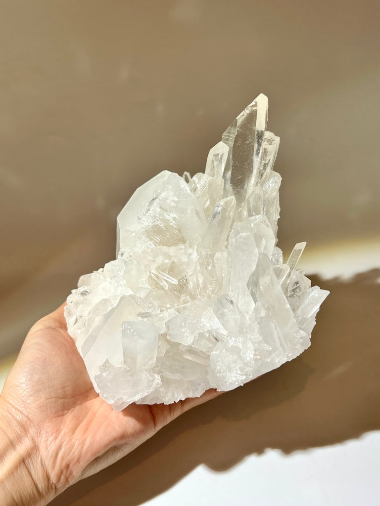 白晶簇