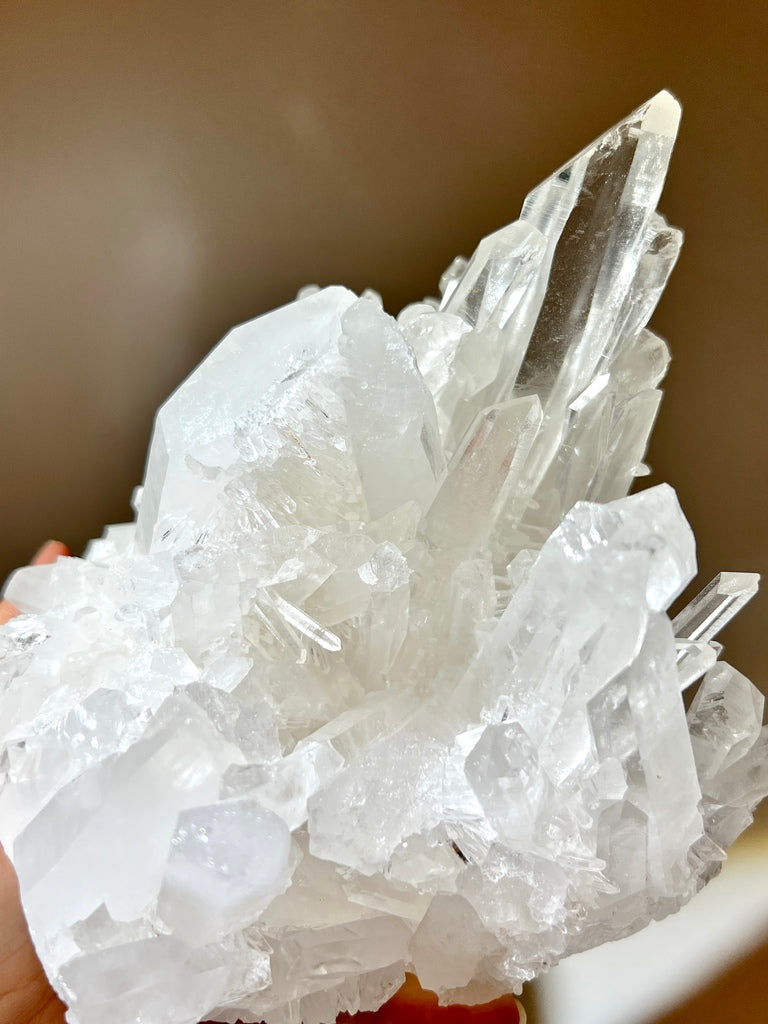 白晶簇