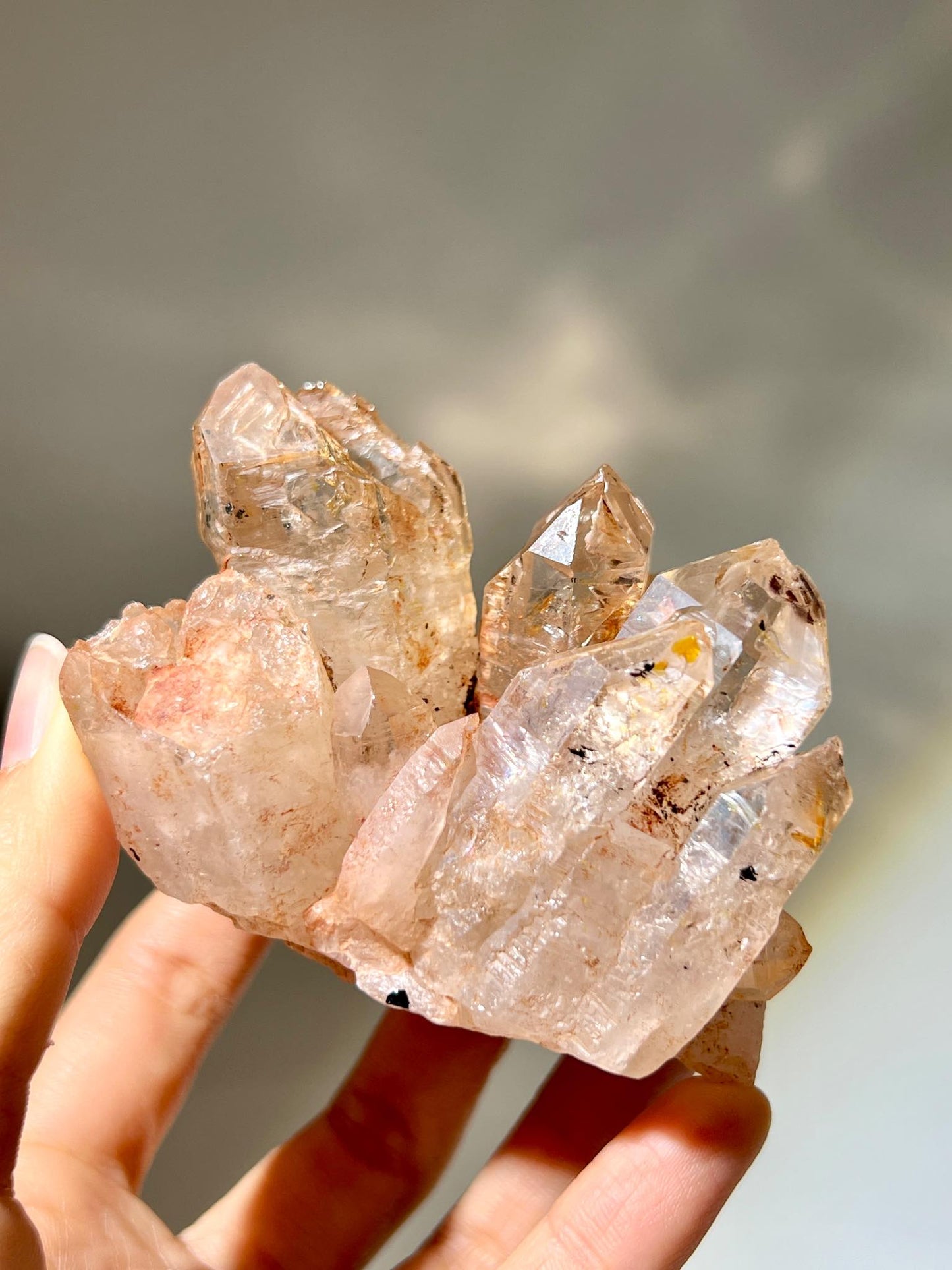 紅泥骸骨 泥骸骨水晶 骸骨水晶 骸骨閃靈鑽 膠花水晶 skeletal quartz Fenster quartz elestial quartz namucrystal 油膽水晶 鱷魚水晶 紅水晶
