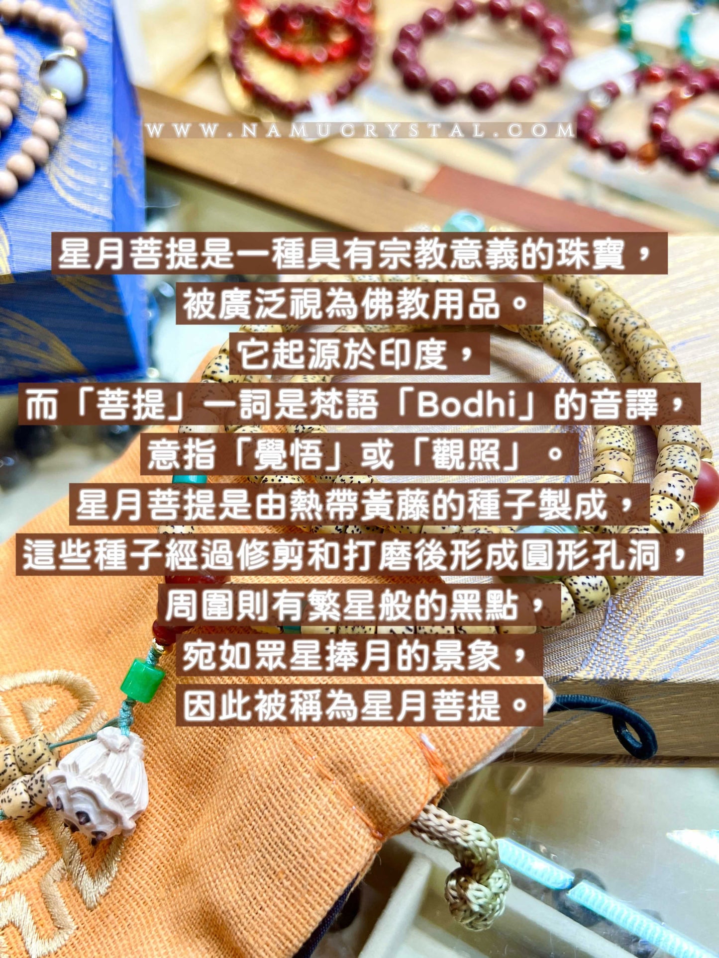 星月菩提提高智慧