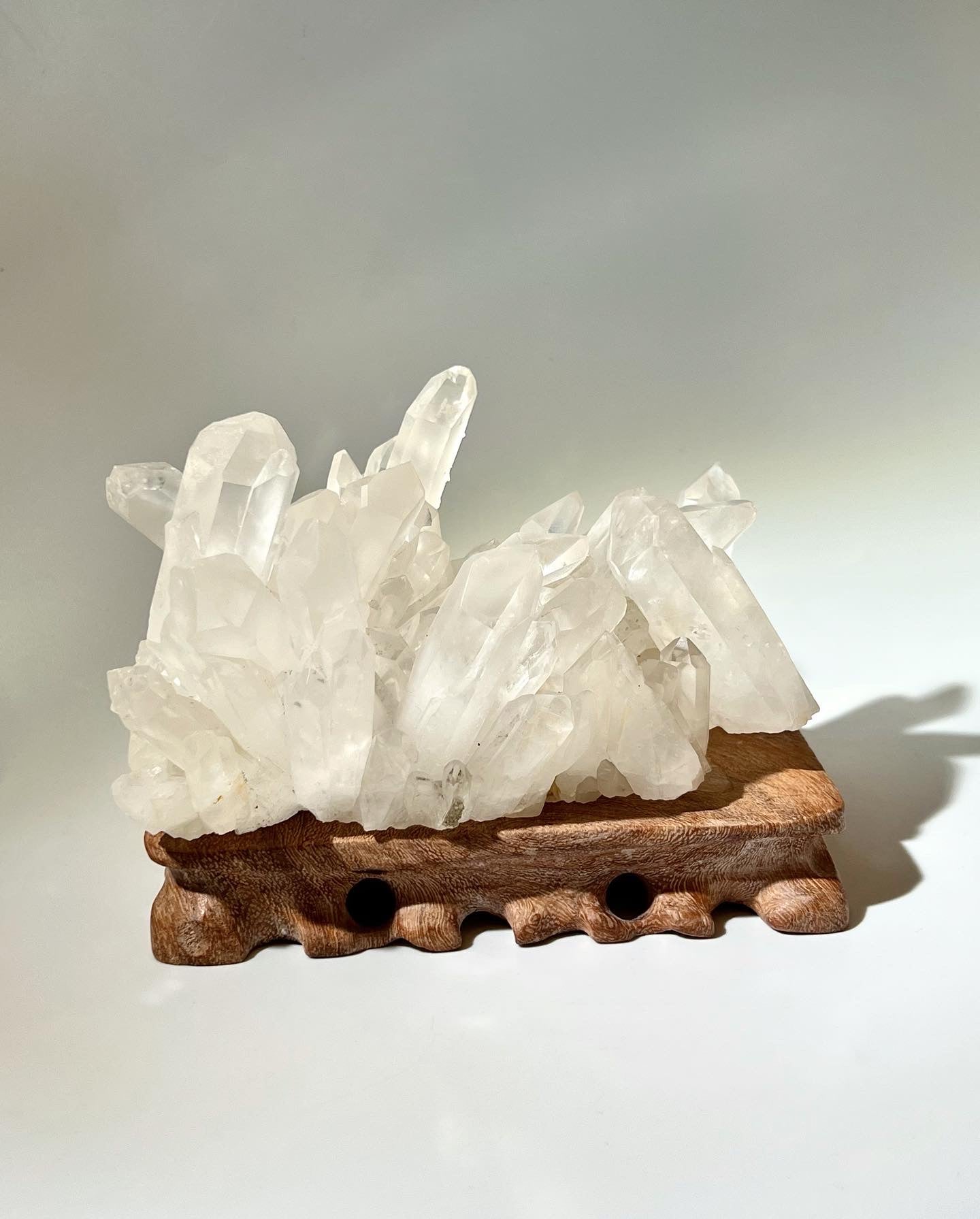 白晶簇 (多牙實用)