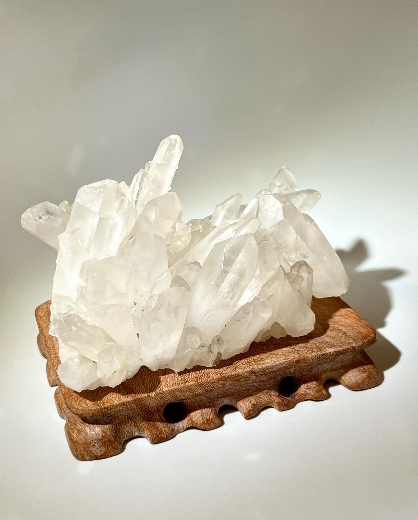 白晶簇 (多牙實用)