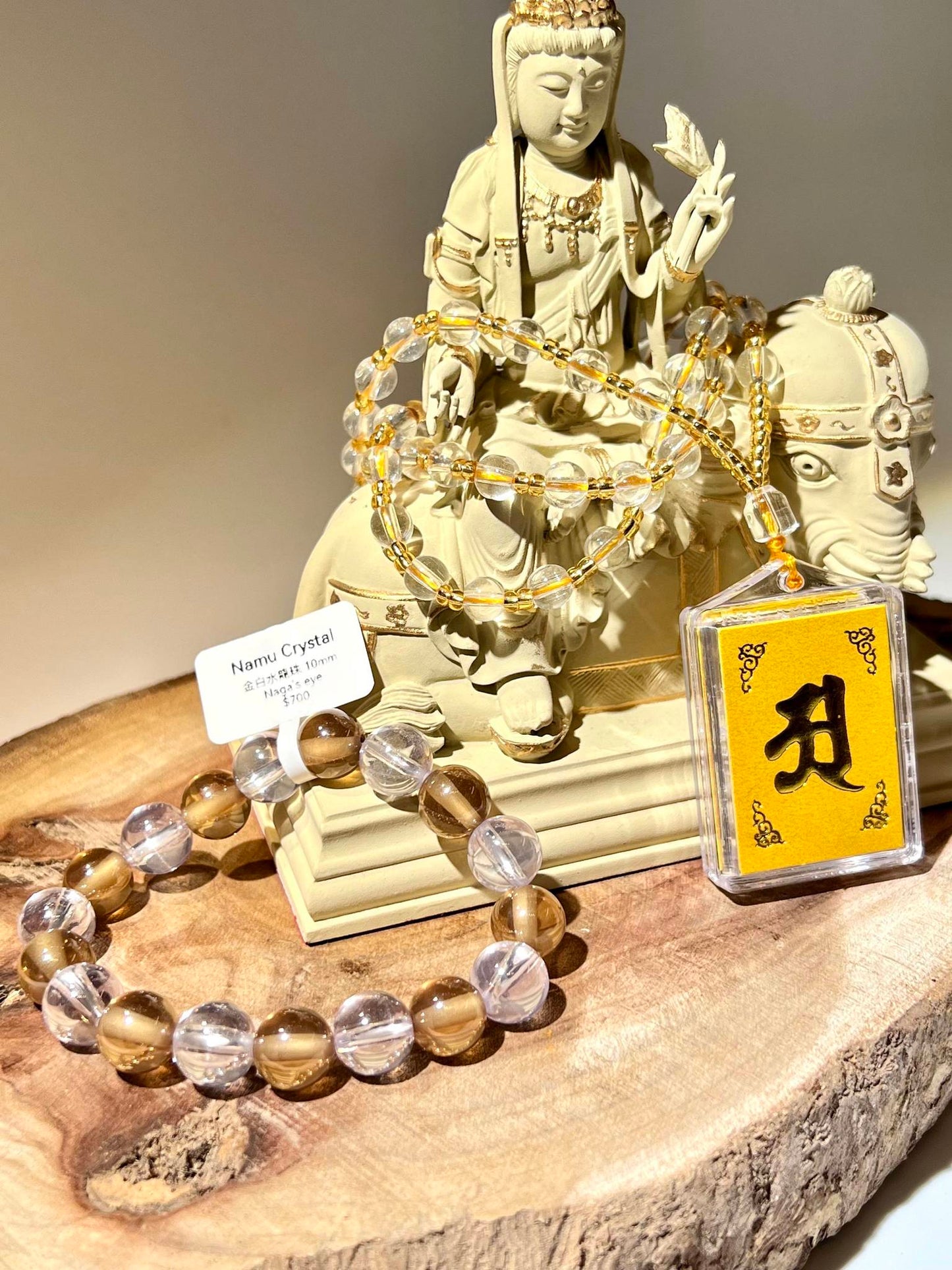 金白水龍珠