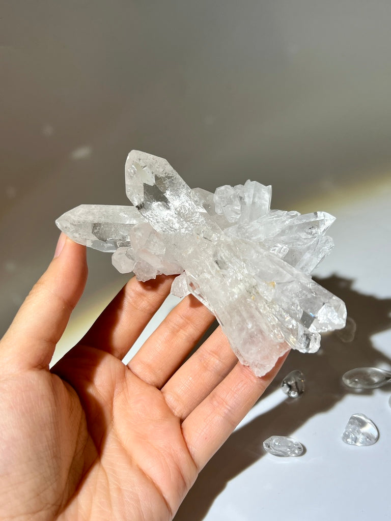 白晶簇
