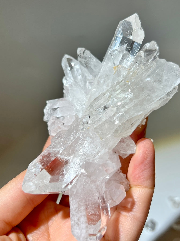 白晶簇