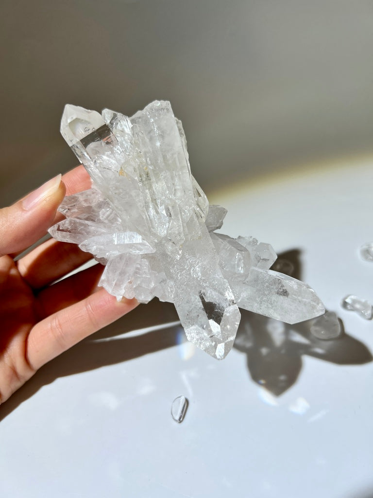 白晶簇