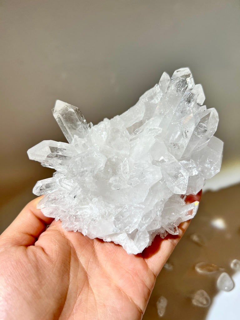 白晶簇