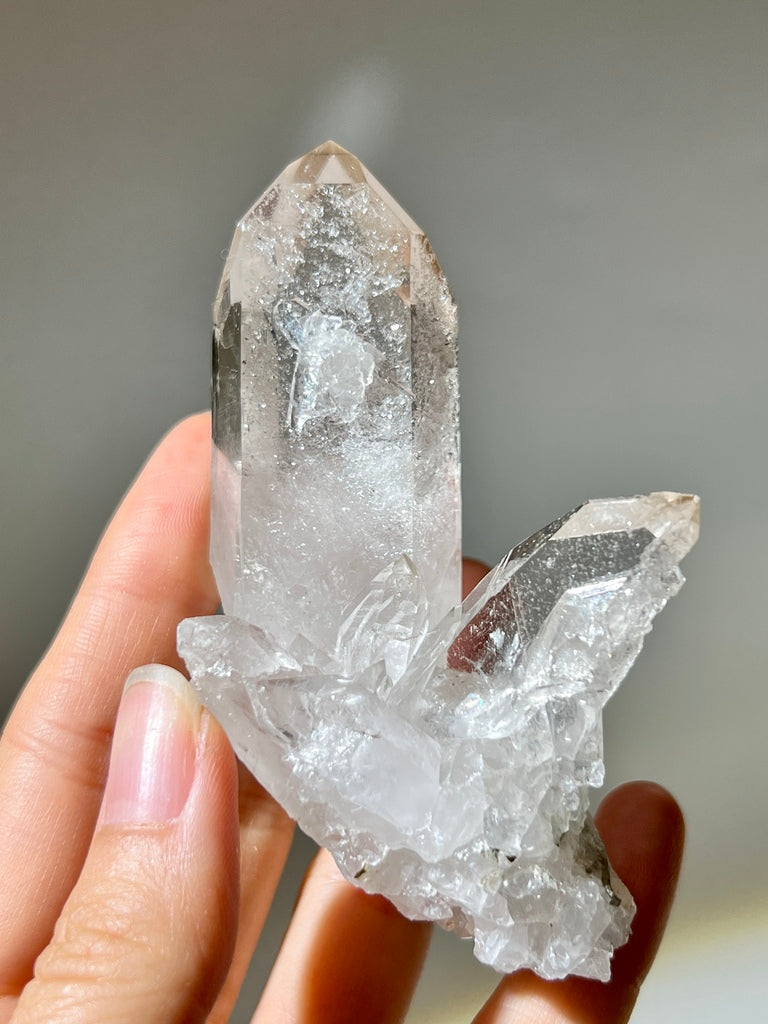 白晶簇