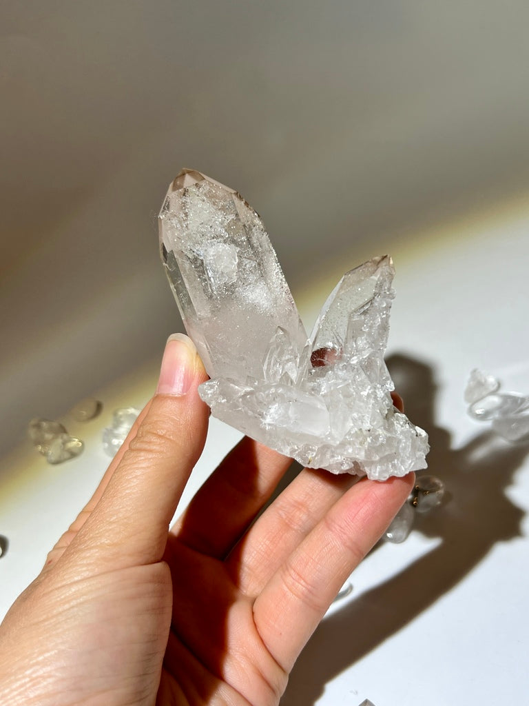 白晶簇
