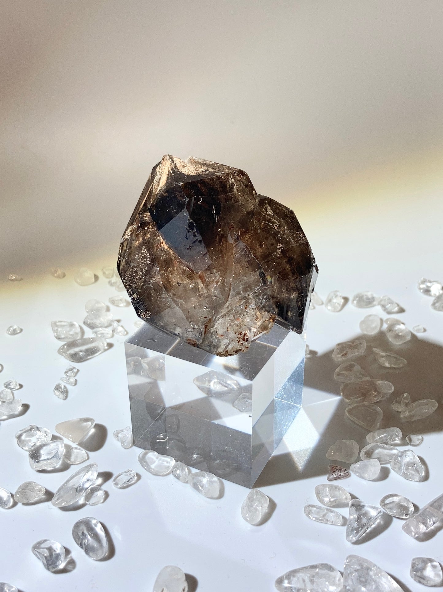 南非茶晶閃靈鑽骸骨