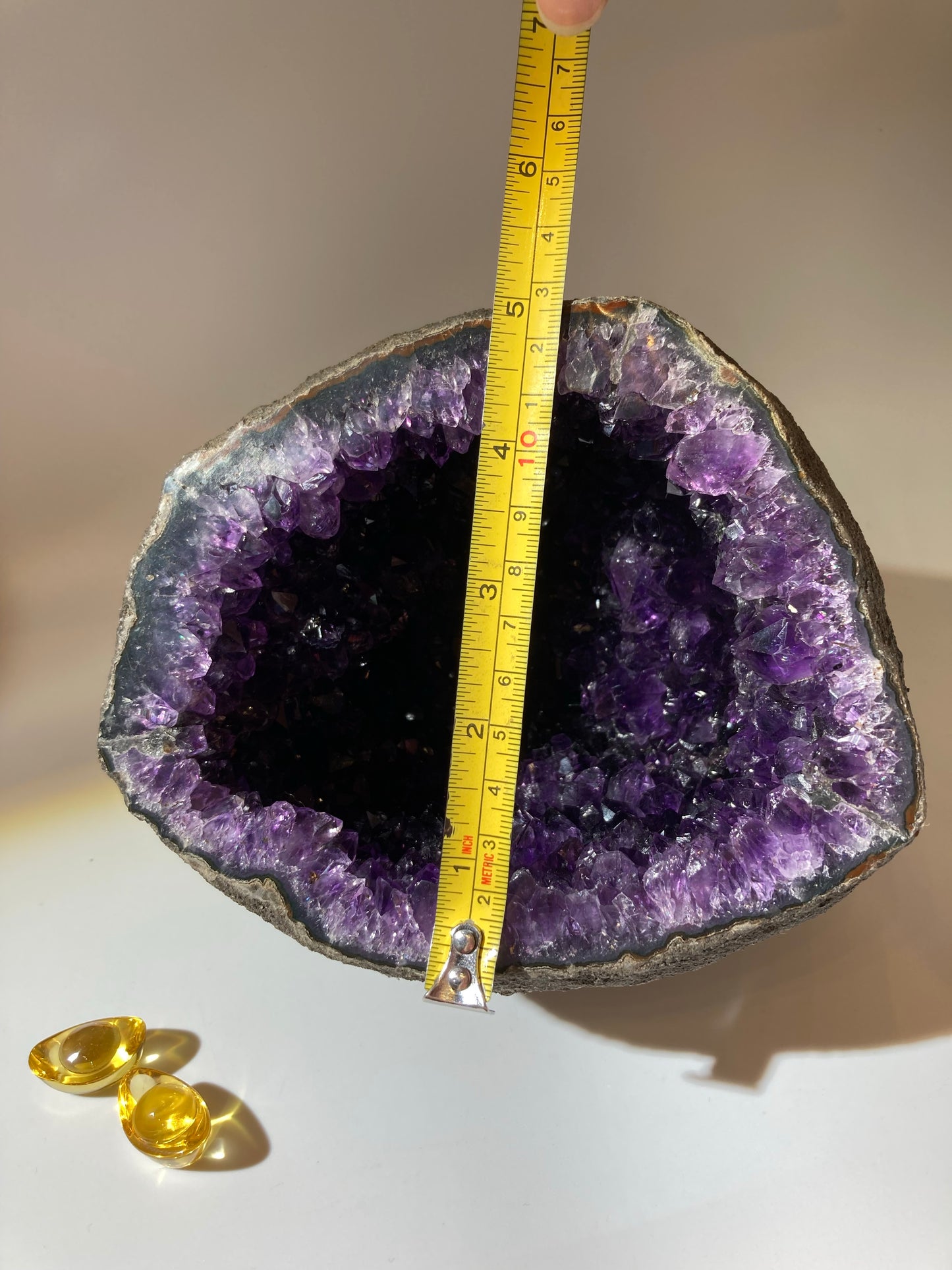 烏拉圭原皮錢袋子(送底座)