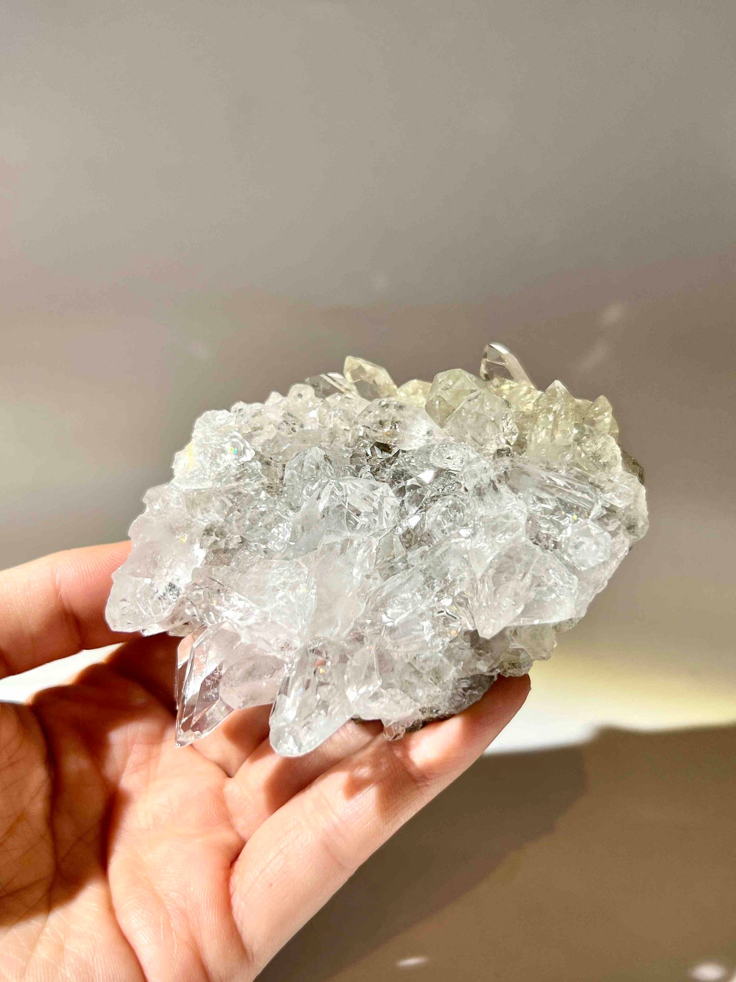 白晶簇