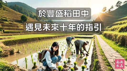 【南無講故】於豐收稻田中預見未來十年的指引