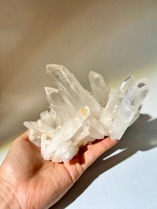 白晶簇