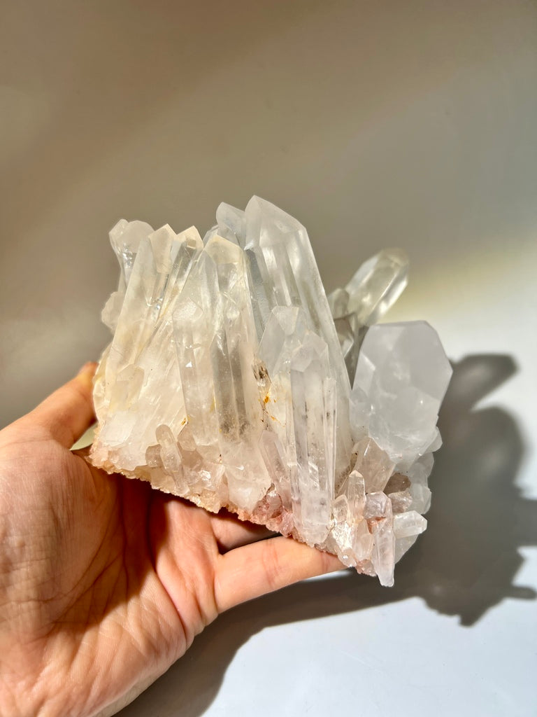 白晶簇