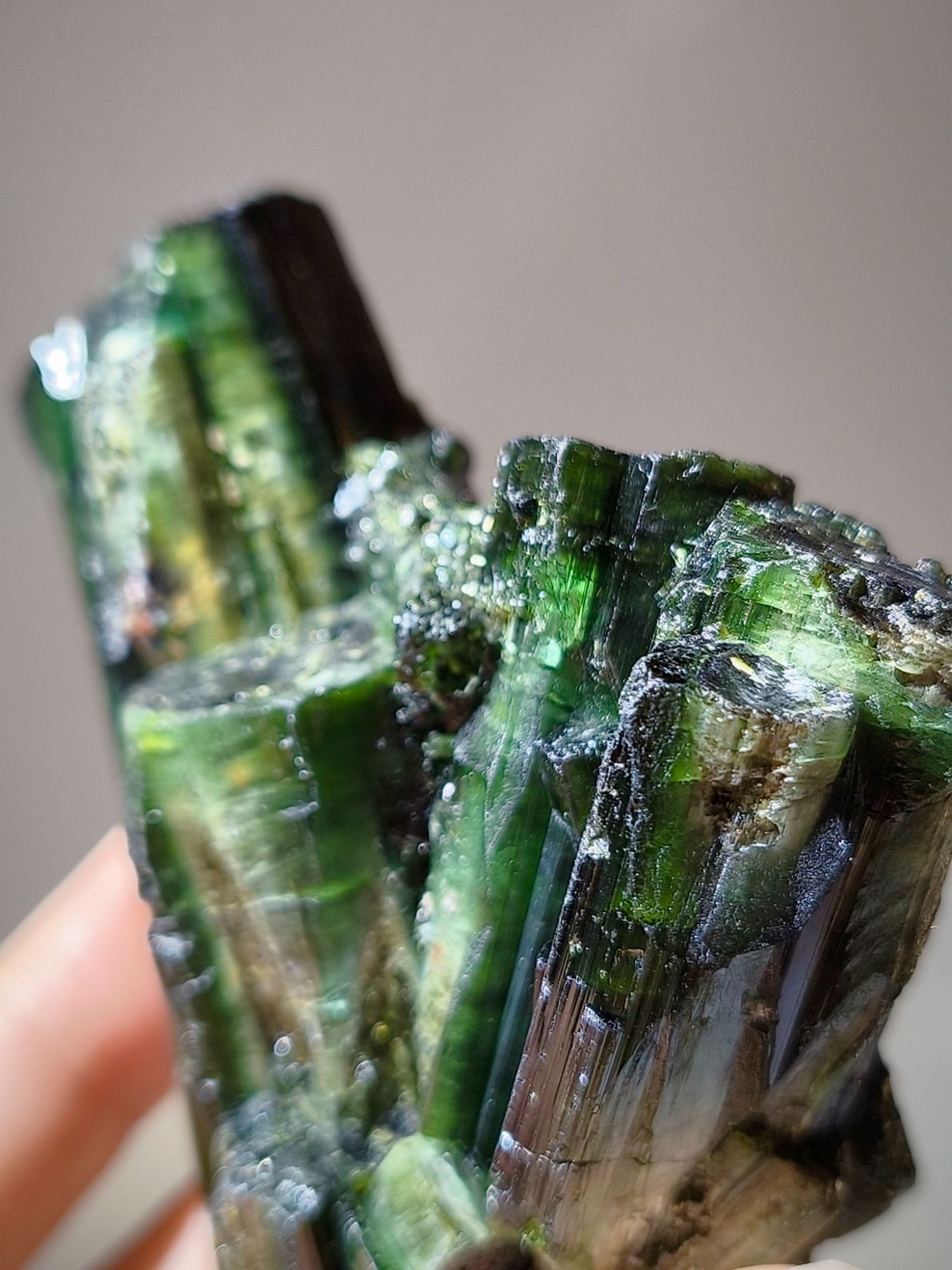 green tourmaline 綠碧璽 香港碧璽 綠碧璽礦標 什麽是綠碧璽