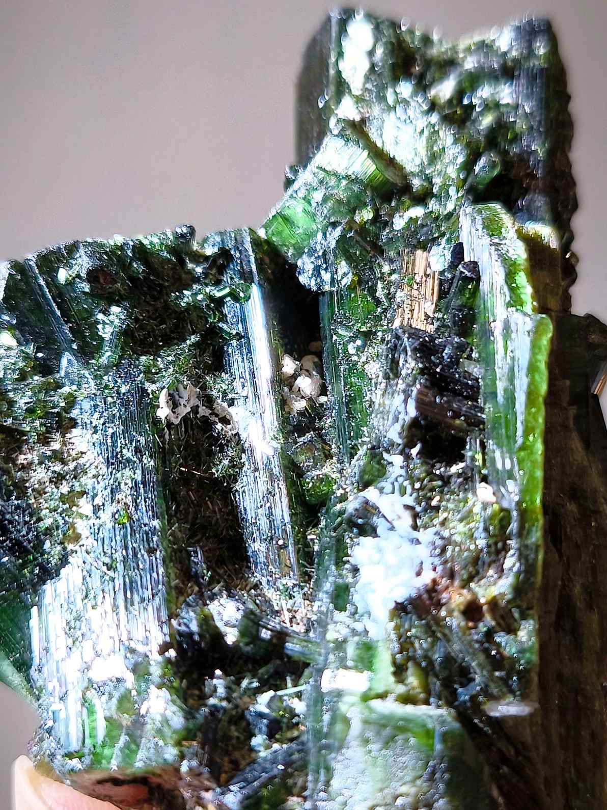 green tourmaline 綠碧璽 香港碧璽 綠碧璽礦標 什麽是綠碧璽 阿富汗綠碧璽