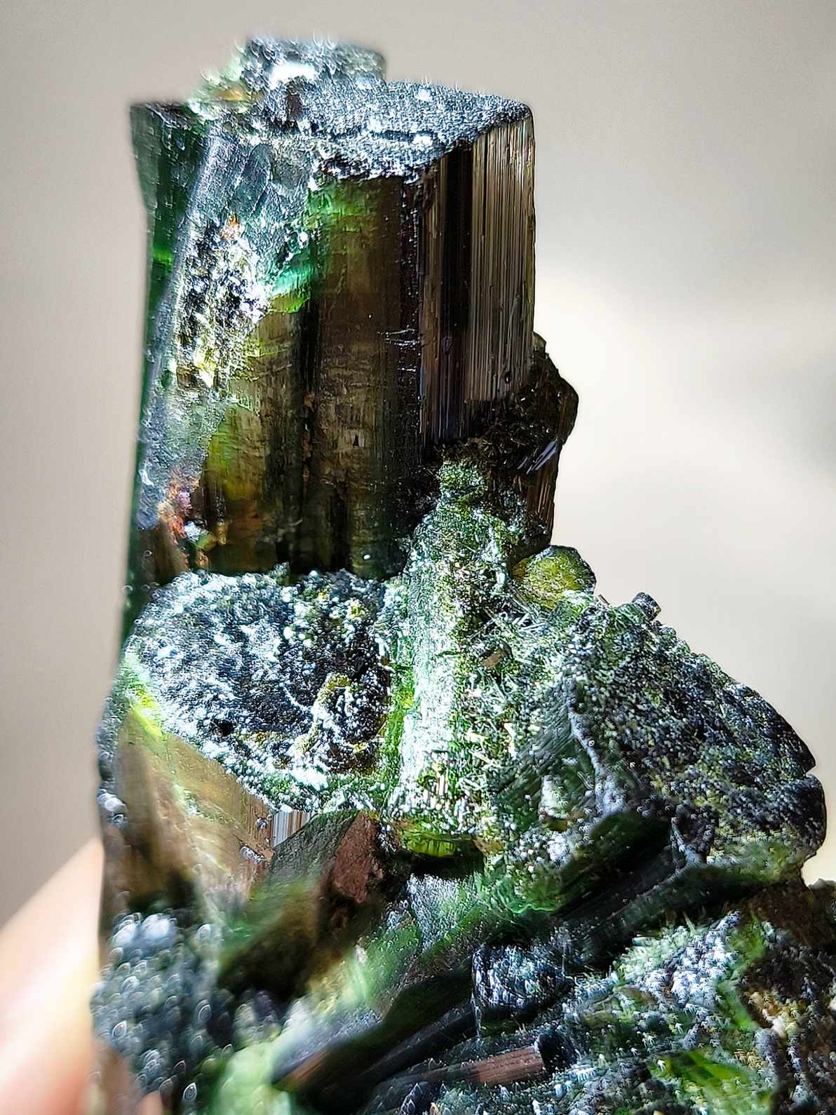 green tourmaline 綠碧璽 香港碧璽 綠碧璽礦標 什麽是綠碧璽 綠碧璽與心輪