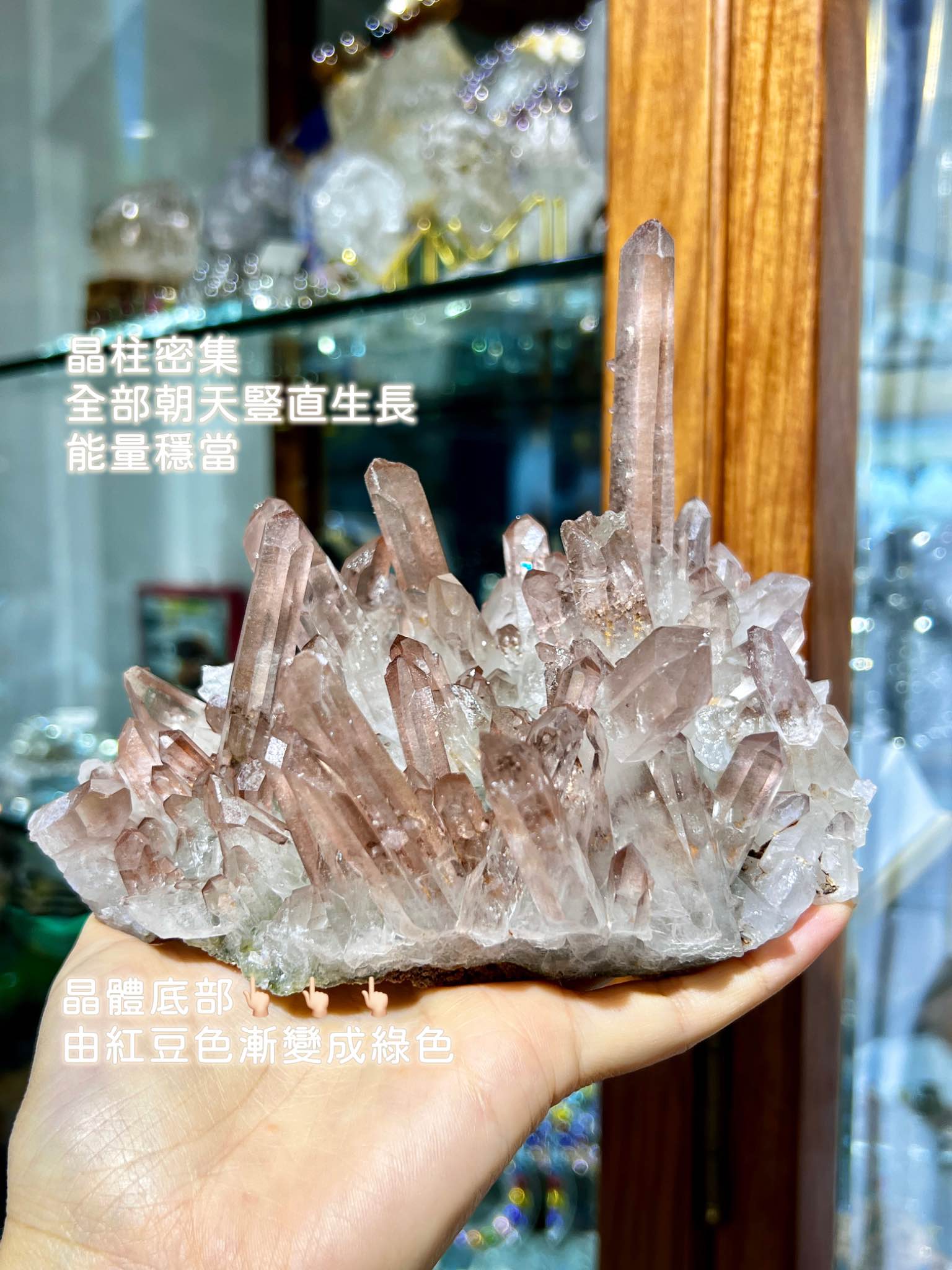 雷母利亞 雷姆利亞 列姆利亞 列母利亞水晶 白晶簇 晶簇 雷母利亞晶種 種子水晶 香港水晶店 淨化水晶 淨化消磁 水晶原石 香港水晶 白水晶功效