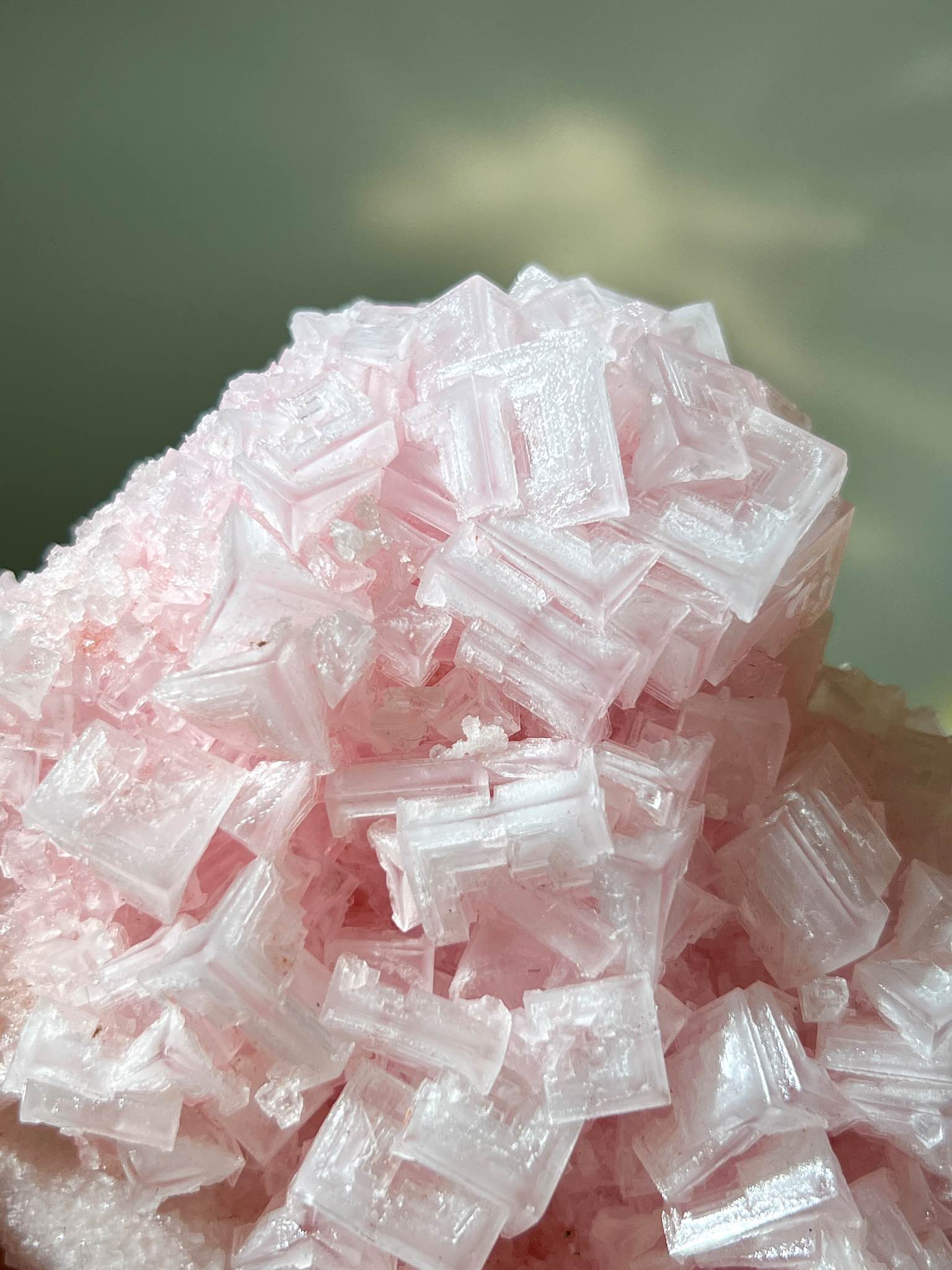 美國加州粉紅鹽晶 粉紅鹽晶 粉紅岩鹽 岩鹽水晶 粉紅鹽晶簇 美國晶簇 美國水晶 粉紅水晶 粉紅晶簇 粉晶簇 粉晶 南無水晶 pink halite pink crystal
