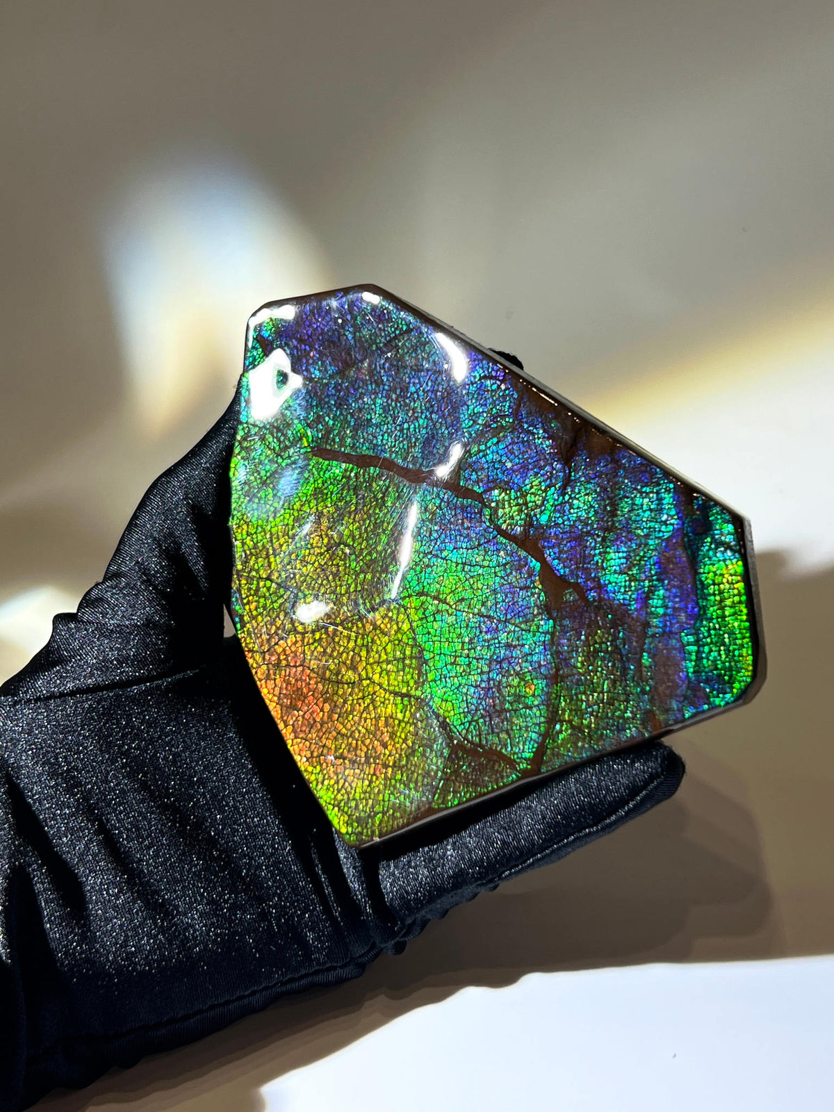 加拿大斑彩螺擺件｜Ammolite｜龍皮紋與七彩結構色特寫