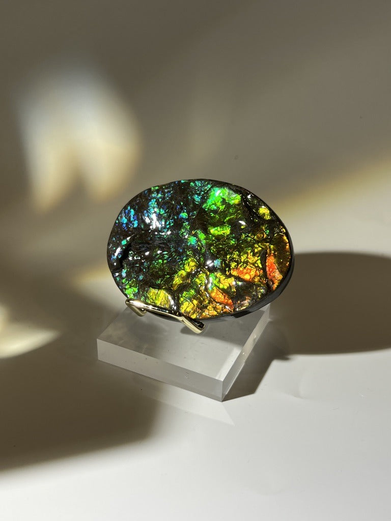 加拿大斑彩螺 Ammolite 全彩龍皮紋擺件｜金屬架透明座正面