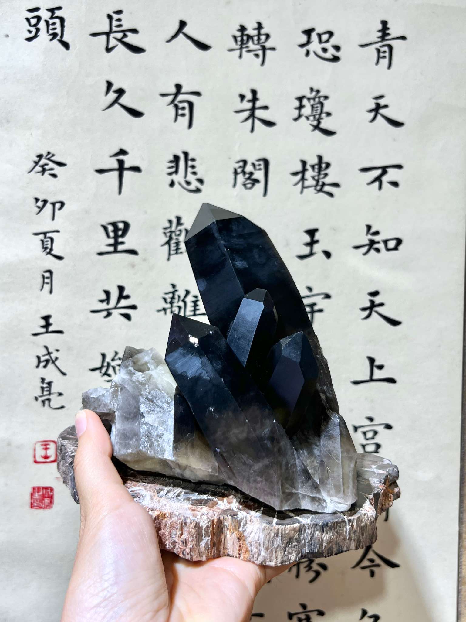 黑晶簇 茶晶簇 煙晶簇 黑水晶 黑色水晶 水晶原石 黑水晶簇 香港水晶店