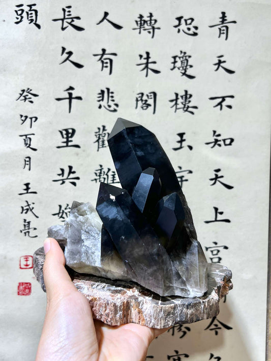 黑晶簇 茶晶簇 煙晶簇 黑水晶 黑色水晶 水晶原石 黑水晶簇 香港水晶店