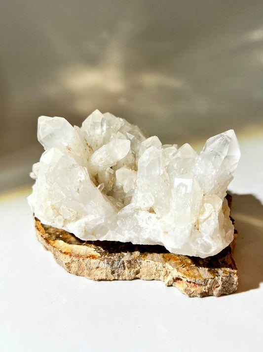 菠蘿骨幹水晶 水晶原石