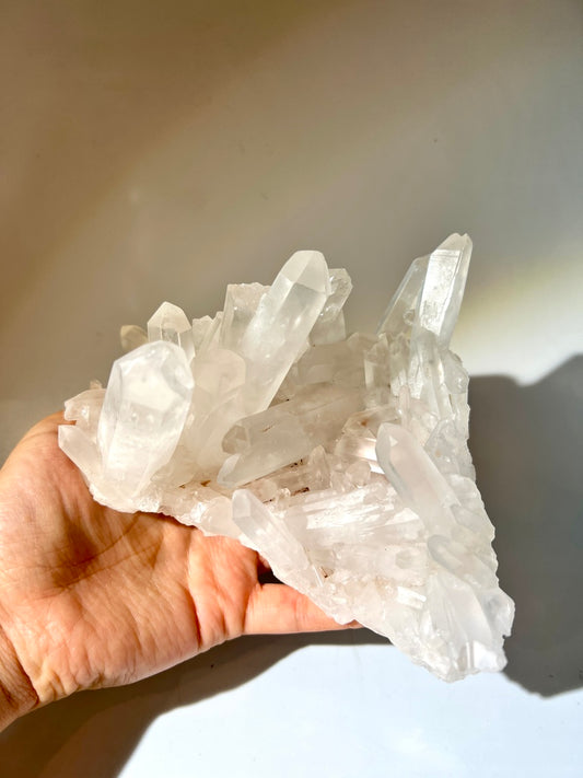 白晶簇