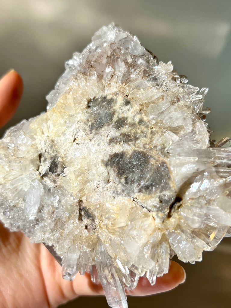 白晶簇