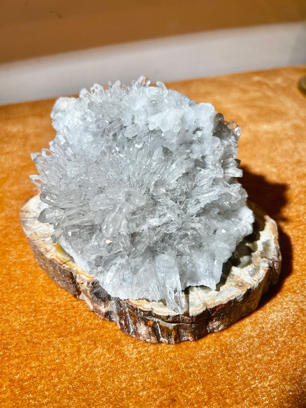 治療大師白晶簇