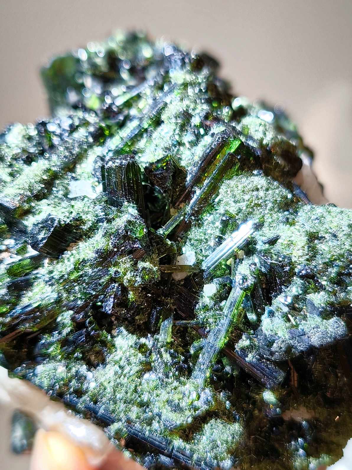 green tourmaline 綠碧璽 碧璽與白水晶共生 香港碧璽 綠碧璽原石