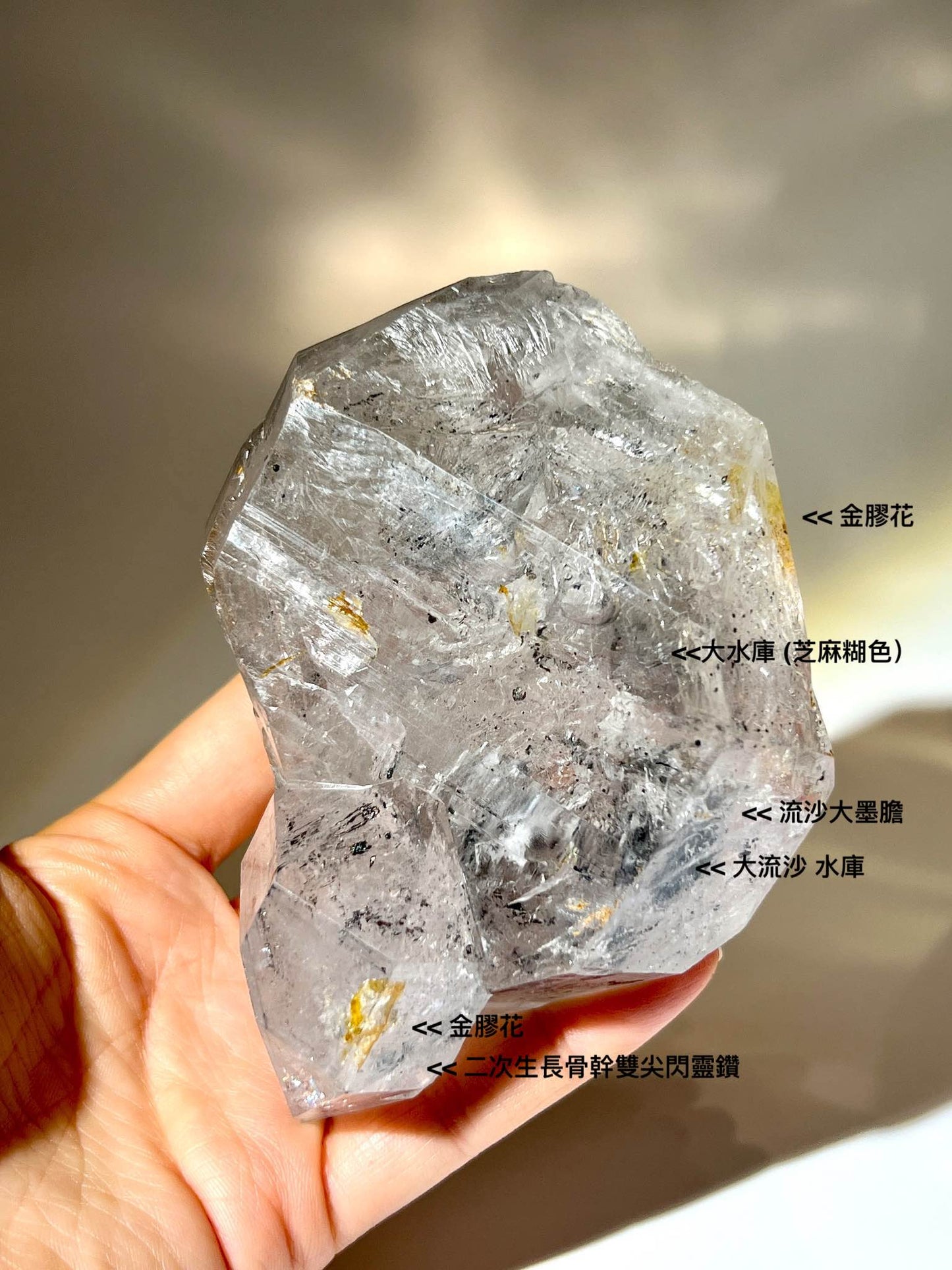 手托著大型 Herkimer Diamond 閃靈鑽，可見骨幹紋理與閃亮包裹體。