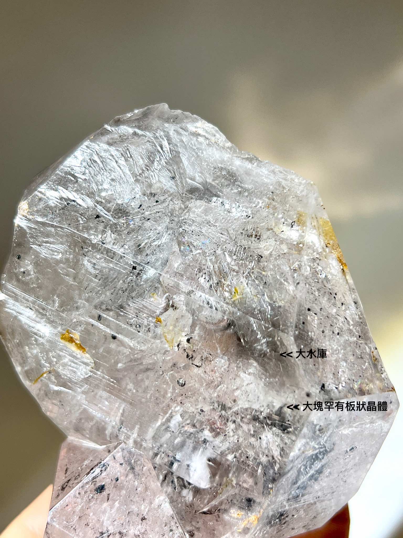 近拍 閃靈鑽水晶 Herkimer Diamond，內部帶彩光、金膠花及細緻刻蝕面。