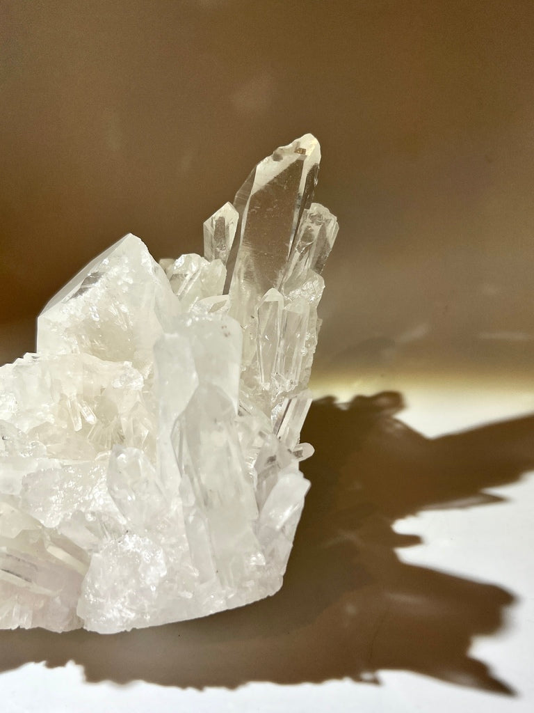 白晶簇