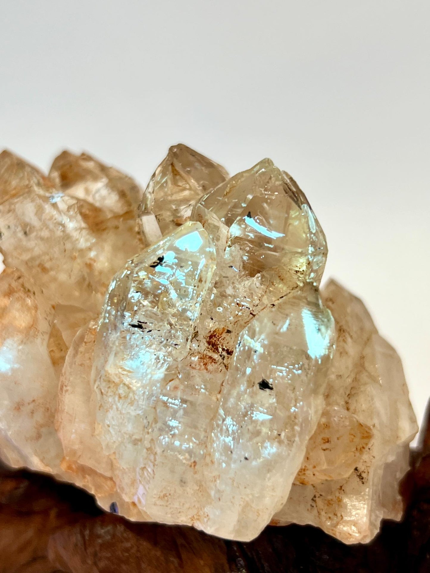 紅泥骸骨 泥骸骨水晶 骸骨水晶 骸骨閃靈鑽 膠花水晶 skeletal quartz Fenster quartz elestial quartz namucrystal 油膽水晶 鱷魚水晶 晶簇 天然晶簇 水晶簇 cluster
