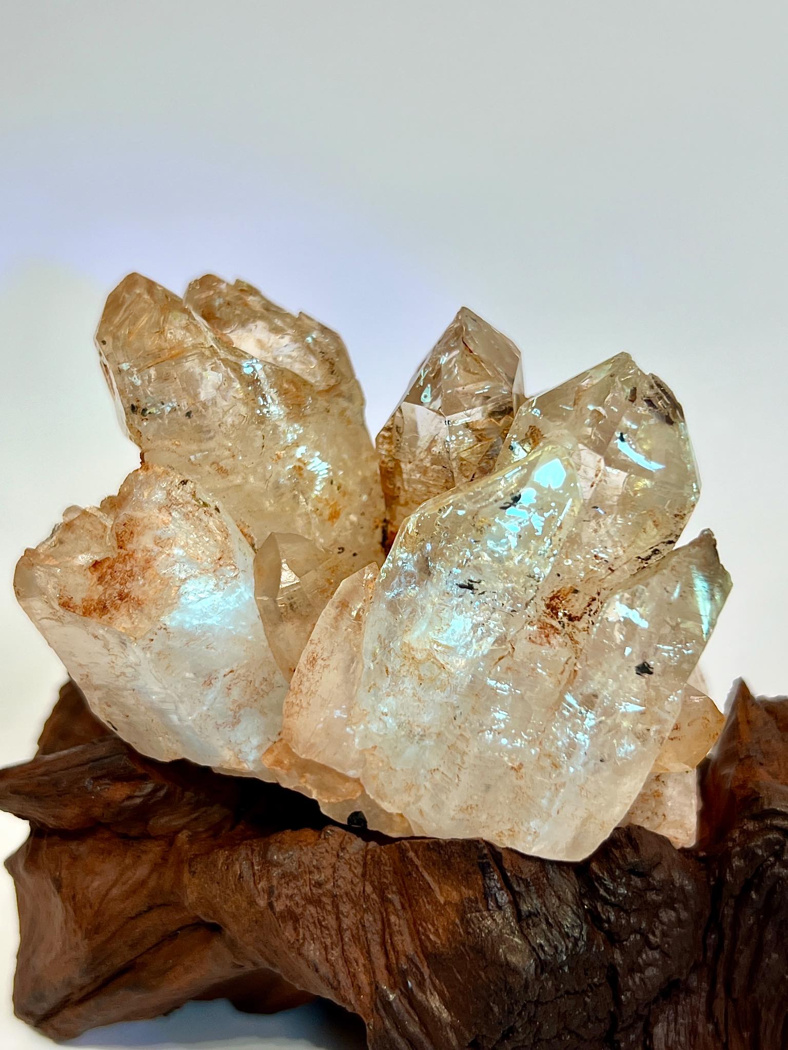 紅泥骸骨 泥骸骨水晶 骸骨水晶 骸骨閃靈鑽 膠花水晶 skeletal quartz Fenster quartz elestial quartz namucrystal 油膽水晶 鱷魚水晶