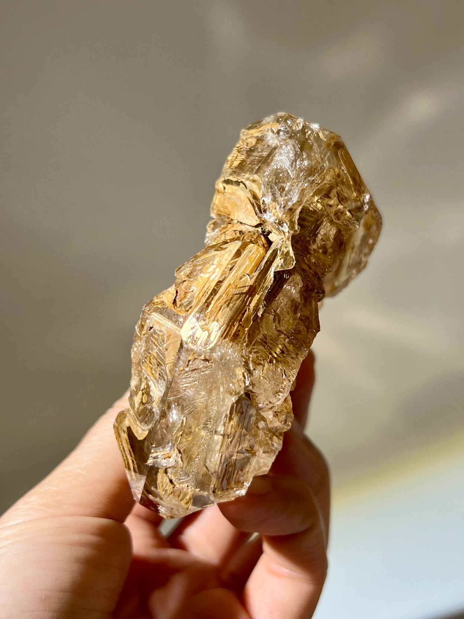 骸骨水晶 骸骨閃靈鑽 skeletal quartz 骸骨骨幹 黃泥水晶 namucrystal 淨化水晶 