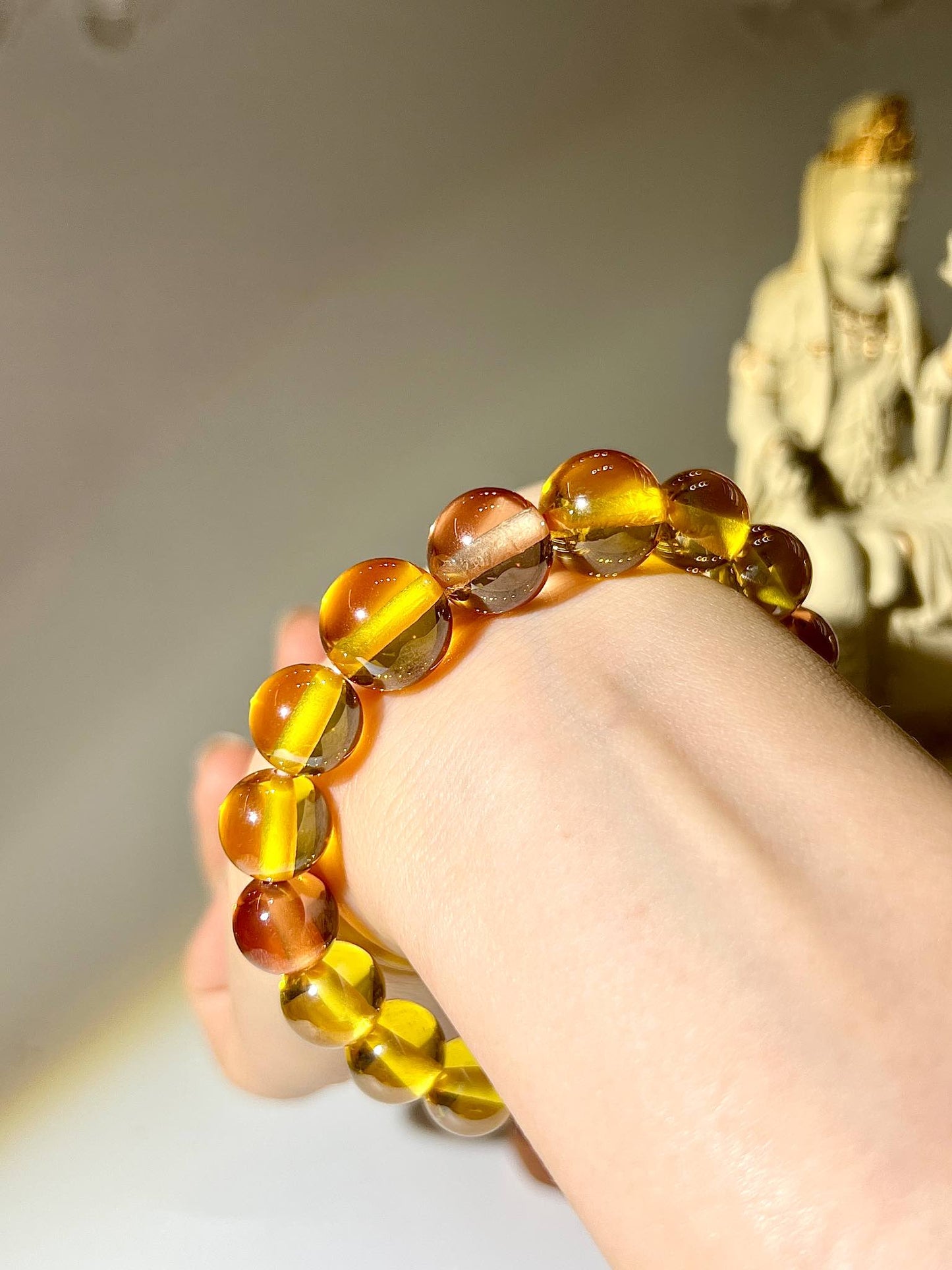 香檳金水龍珠 購買水龍珠 水龍珠有什麼功效 財運流動 提升財運